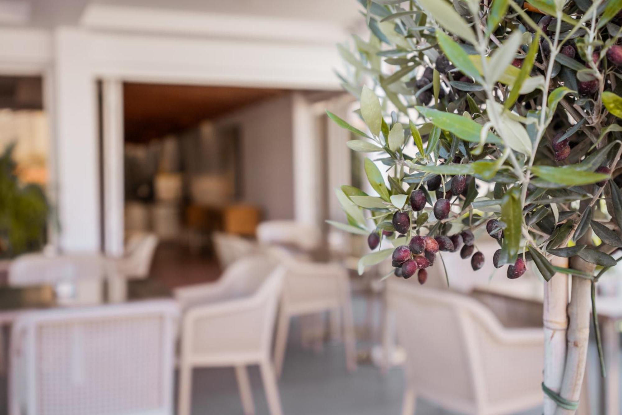 Paul Marie Hotel Apartments Ayia Napa Exterior foto
